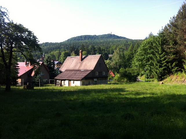 Blick zum Hochwald 2012